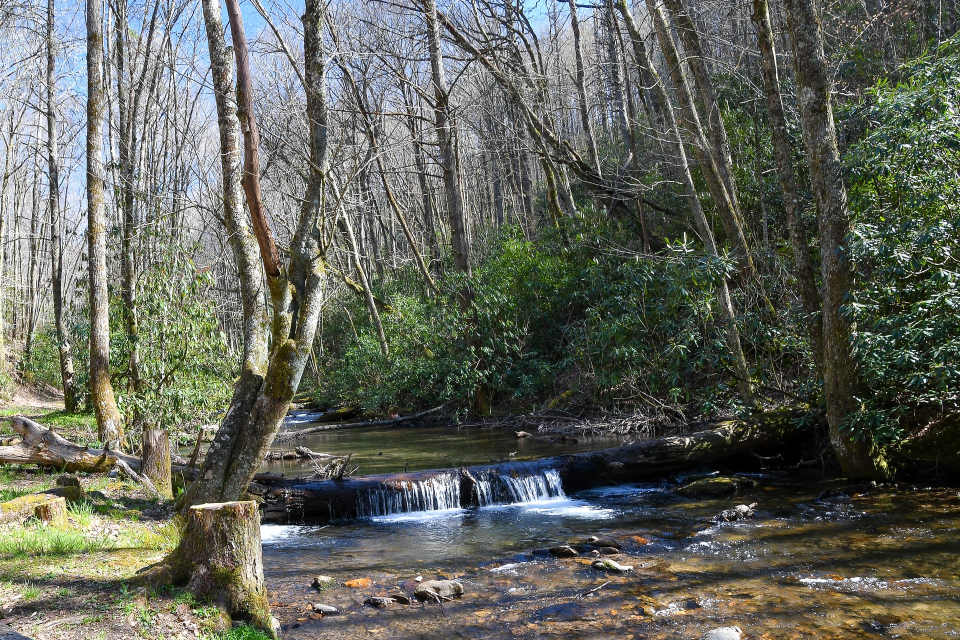 Nantahala National Forest to the Rescue HIKEscape
