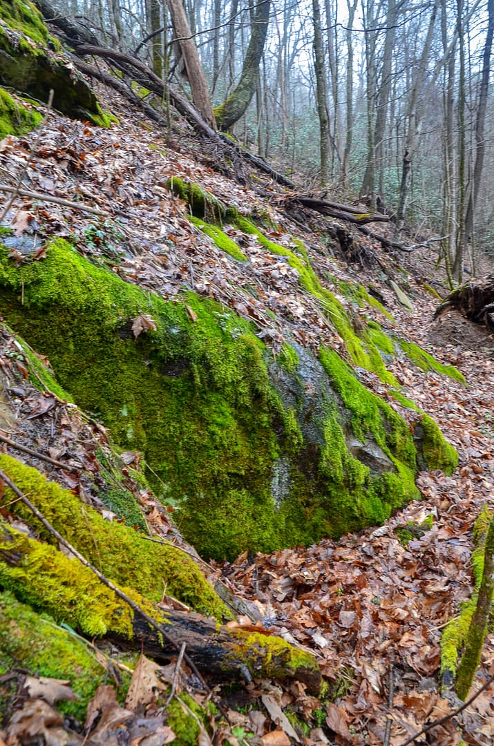 Jerry Miller trail rock formations and mosses
