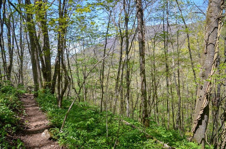 Hiking the Cold Mountain trail