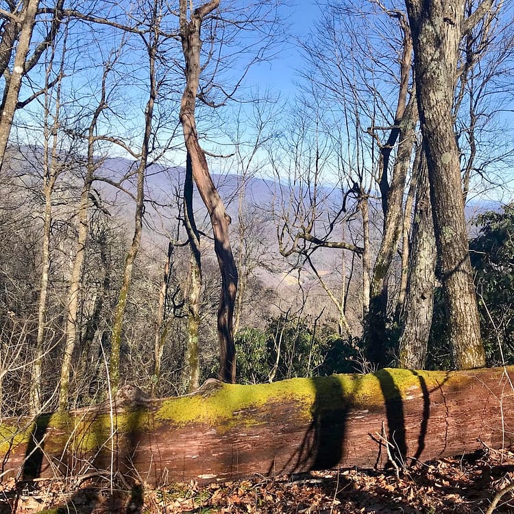 Hogback Ridge from Sam's Gap-AT