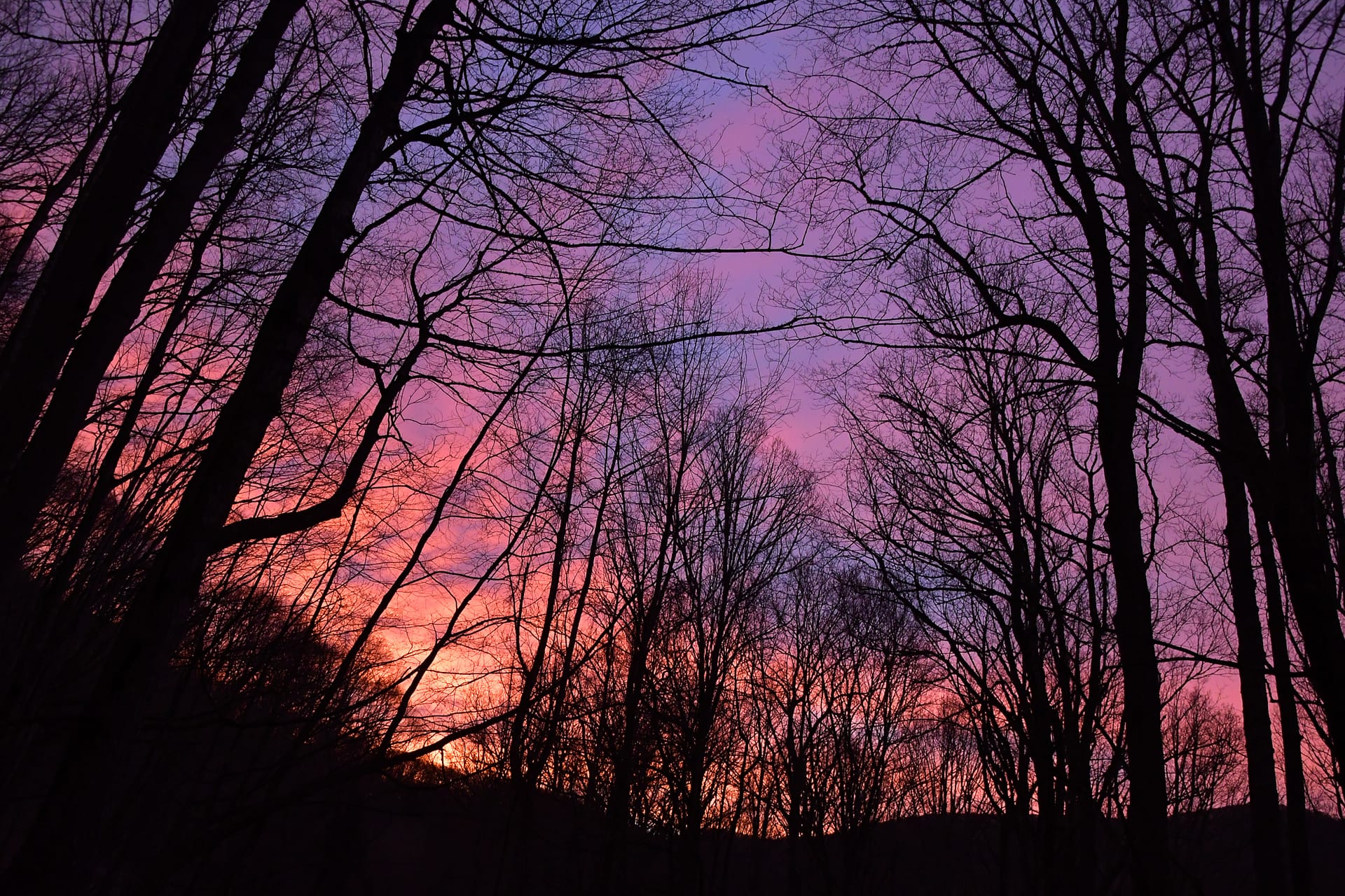 sunrise- Appalachian Ranger district
